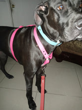 Load image into Gallery viewer, Xl dogs biothane no pull harness 1in wide strap one color