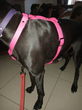 Load image into Gallery viewer, Xl dogs biothane no pull harness 1in wide strap one color