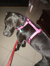 Load image into Gallery viewer, Xl dogs biothane no pull harness 1in wide strap one color