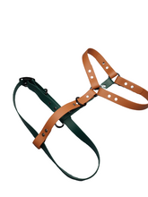 Load image into Gallery viewer, Xl dogs biothane no pull harness 1in wide strap one color