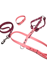 Load image into Gallery viewer, Biothane small dog no pull harness 5/8in strap