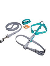 Load image into Gallery viewer, Biothane small dog no pull harness 5/8in strap