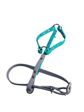 Load image into Gallery viewer, Biothane small dog no pull harness 5/8in strap