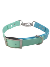 Load image into Gallery viewer, Mint/sky blue biothane martingale collar 1in wide strap small to xxl