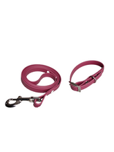 Load image into Gallery viewer, Biothane fall colors small dogs puppy sizes collar and leash set 5/8 strap
