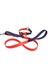 Load image into Gallery viewer, Cole&#39;s halloween biothane leash and collar set small to xxl 1in wide

